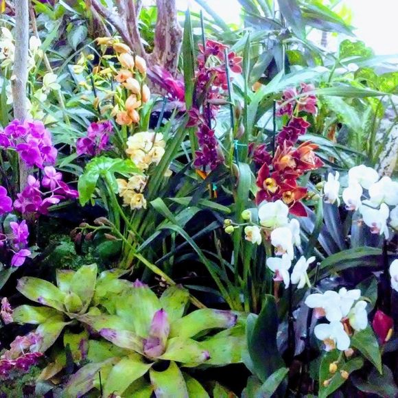 Meet your Posher, Cathy - Picture 1 of 1